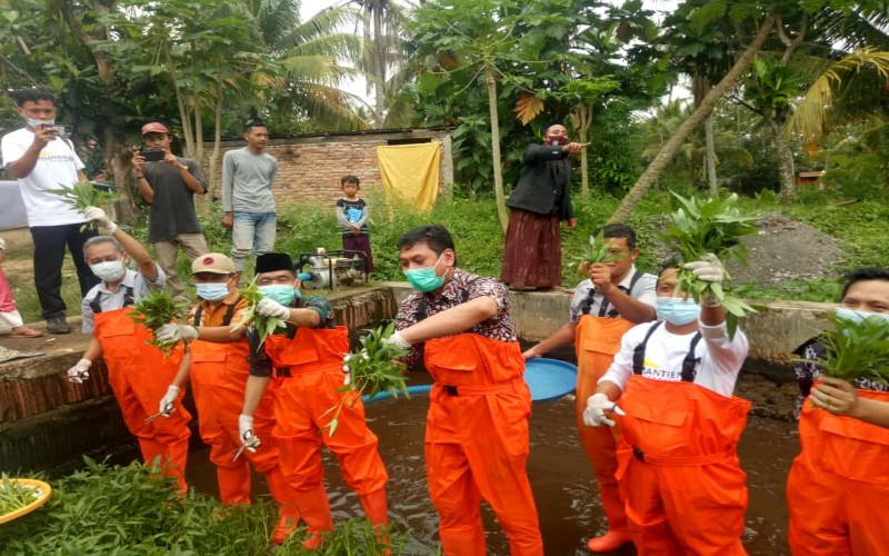  Keren, Ponpes Raudlatussolihien Lamteng Panen Perdana Perikanan Aquaponik