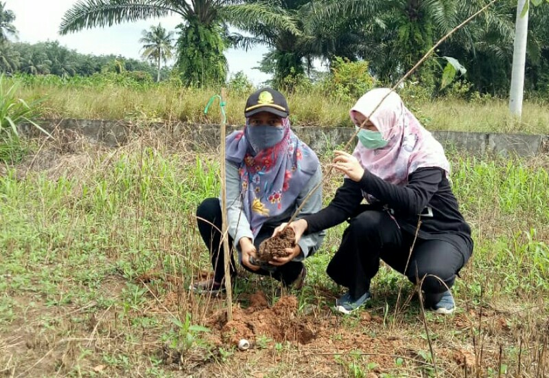  Maknai Hari Bakti Rimbawan Ke-38, Balai Besar TNBBS Gelar Penanaman Pohon