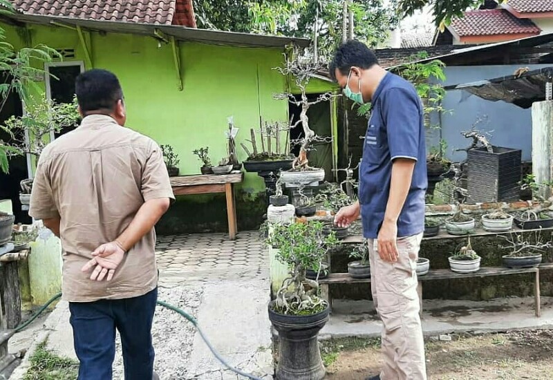  Anggota DPRD Lampung Syarif Hidayat Dukung Pengembangan Bonsai Dongkrak Pariwisata