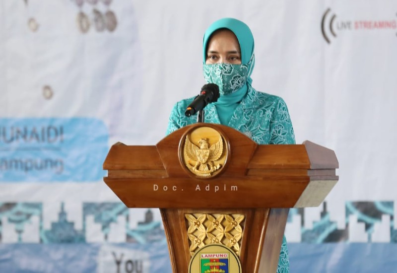  Gubernur Arinal Dorong PKK Wujudkan 3 Program Prioritas