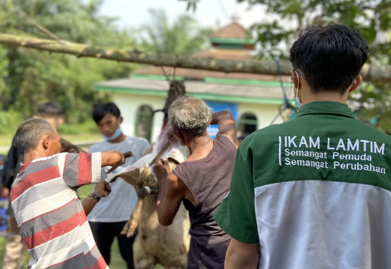  Ikatan Mahasiswa Lampung Timur Serahkan Kambing Kurban ke Desa Terpencil
