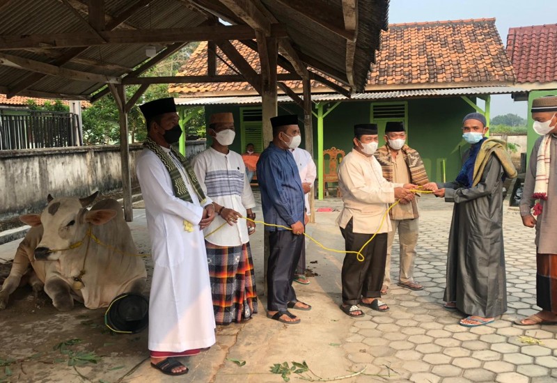  Iduladha 2021 Pemprov Lampung Kurban 36 Sapi dan 10 Kambing