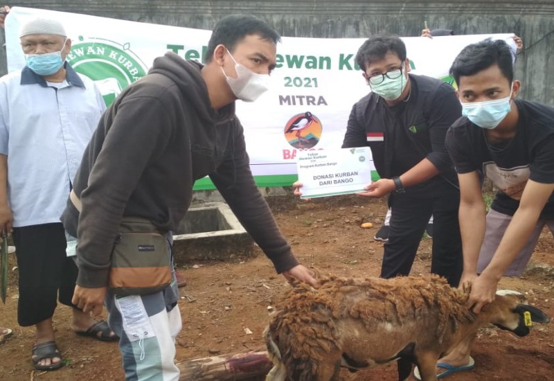  Dompet Dhuafa Salurkan Daging Kurban 65 Domba di Gang Ainan Kedamaian, Kerja Sama dengan Gerakan Pemuda Kalibalau Kencana