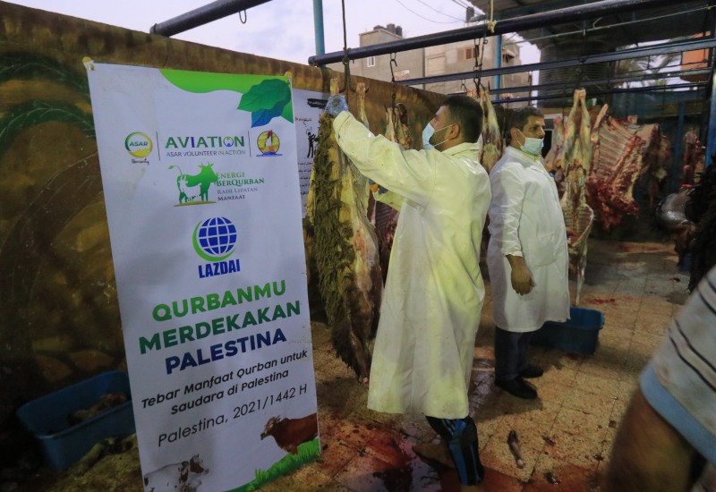  LAZDAI Lampung Salurkan Kurban Sampai ke Palestina