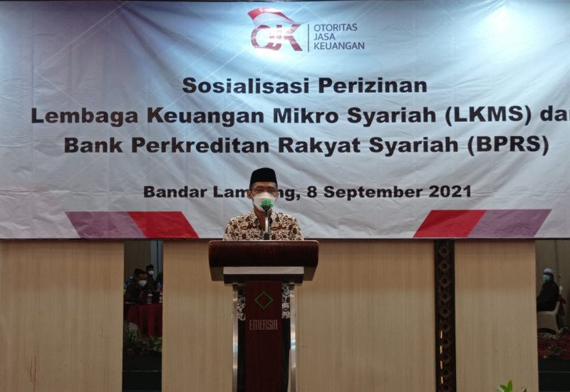  Abdul Hakim Perjuangkan Kemudahan Akses Penggerak UMKM Pada UU Lembaga Keuangan Mikro