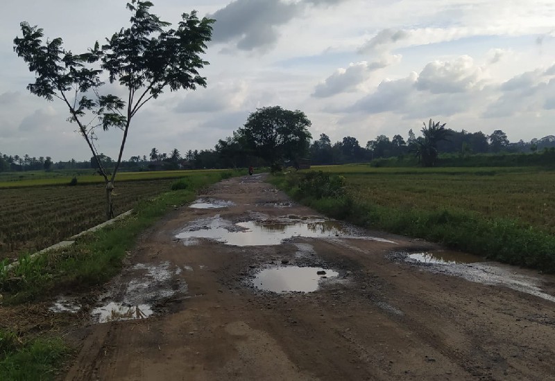  Kapan Jalan Desa Karang Pucung Kecamatan Way Sulan Lampung Selatan Ini Diperbaiki?