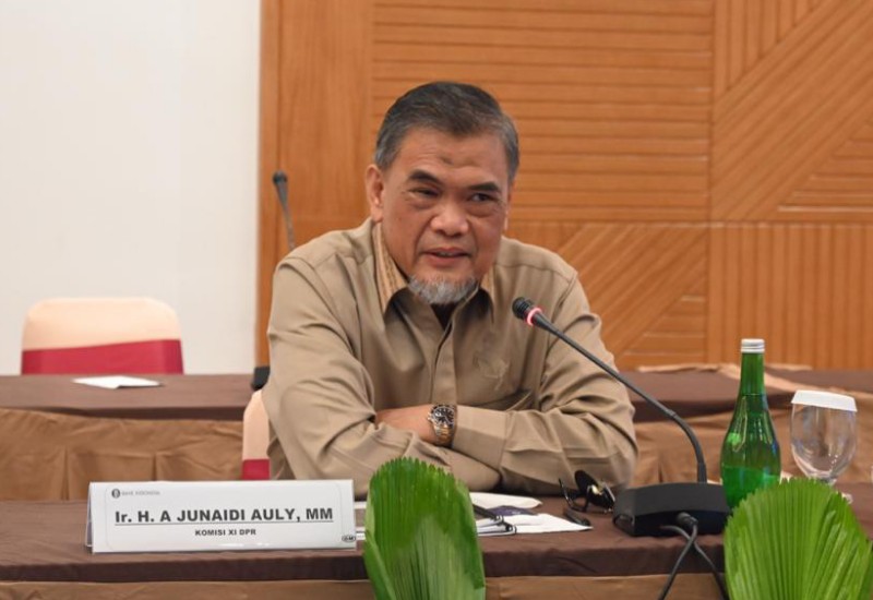  Junaidi Auly Minta Pemerintah Ekstra-Waspada dan Redam Keinginan Berutang
