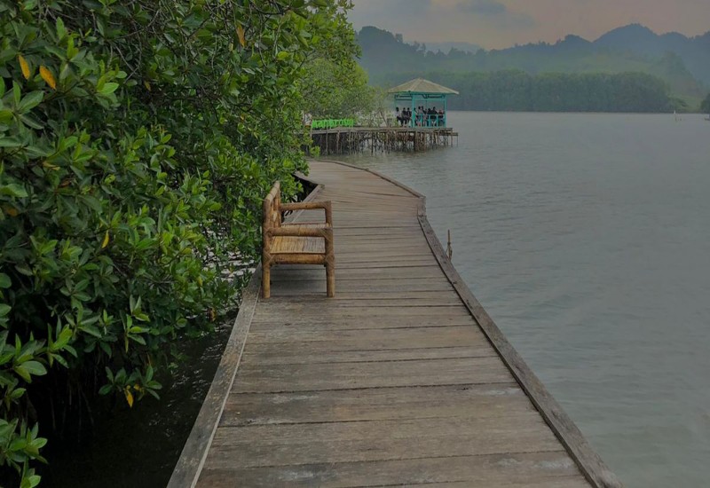  Mangrove Petengoran di Pesawaran, Kawasan Konservasi dan Wahana Rekreasi