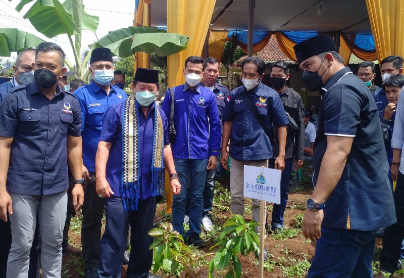  Perayaan 10 Tahun Partai Nasdem di Natar, Herman HN dan Wahrul Fauzi Silalahi Kompak Tanam Pohon