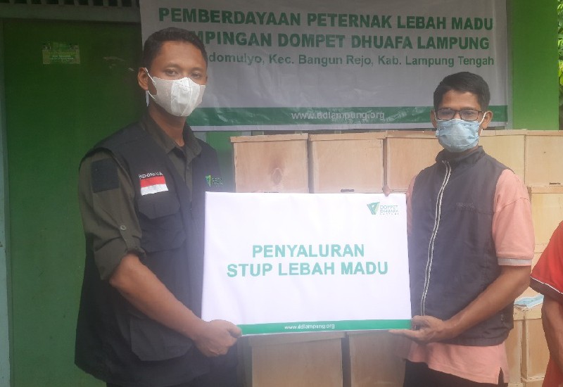  Dompet Dhuafa Lampung Dampingi Peternak Lebah Madu Melalui Dana Zakat