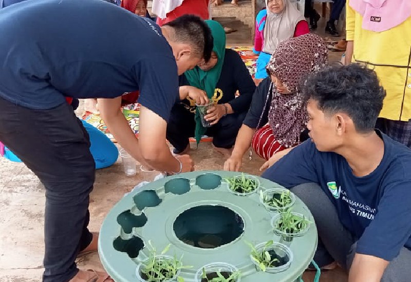  Ikam Lamtim Budi Daya Aquaponik di Desa Pelindung Jaya Gunung Pelindung