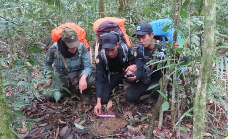  Opini: Selamatkan Harimau Sumatera