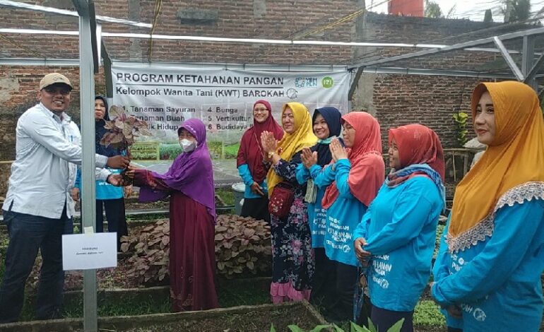  KWT Barokah Bentukan Program Ketahanan Pangan YBM PLN-IZI Lampung Panen Perdana Sayuran