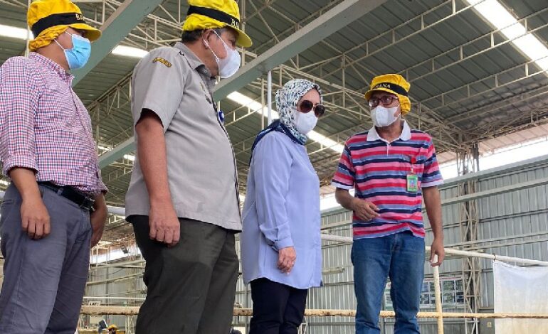  Dwia Ria Kunjungan Kerja di PT GGP Terbanggi Besar