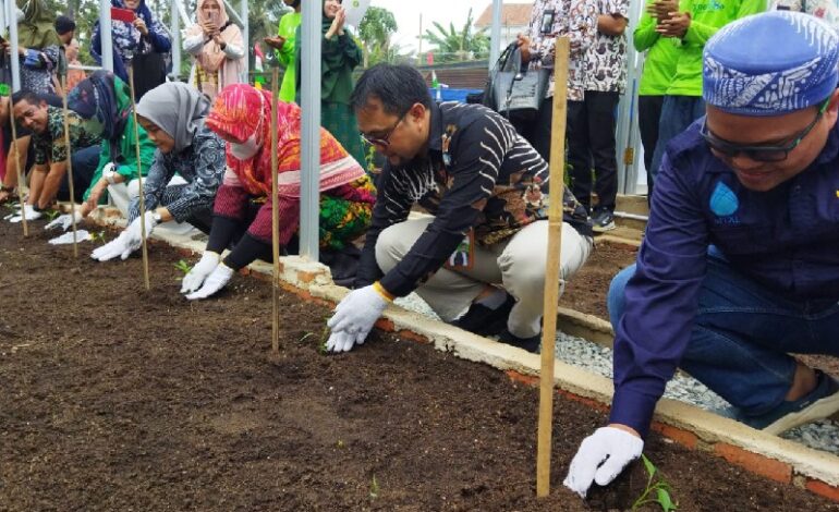  IZI Lampung dan MTXL Axiata Inisiasi Wisata Hijau Kota “GreenMe”, Aderly Imelia Sari Dorong Jadi Pemantik Kota Hijau