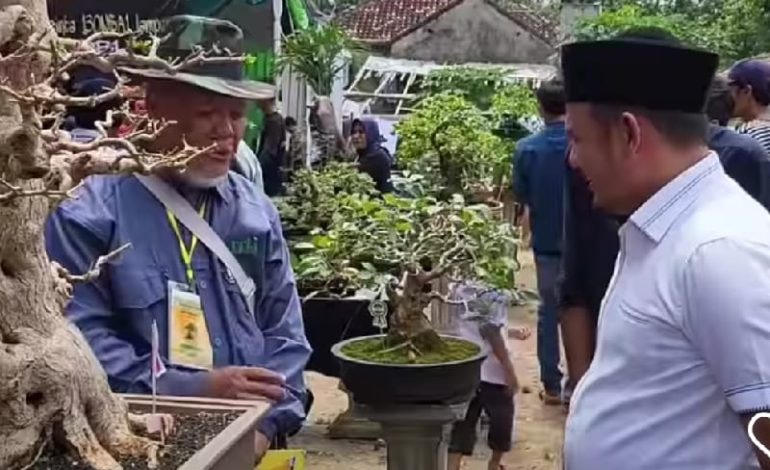  Anggota DPRD Lampung Wahrul Fauzi Silalahi Hadiri Gebyar Bonsai Tapis Berseri