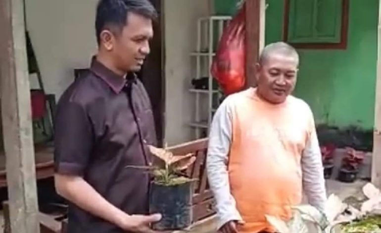  Anggota DPRD Lampung Vittorio Dwison Kunjungi Pebisnis Tanaman Hias di Punggur
