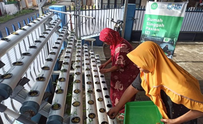  Pasien dan Keluarga di Rumah Singgah Pasien Pangan YBM PLN-IZI Lampung Tanam Sayur Hidroponik