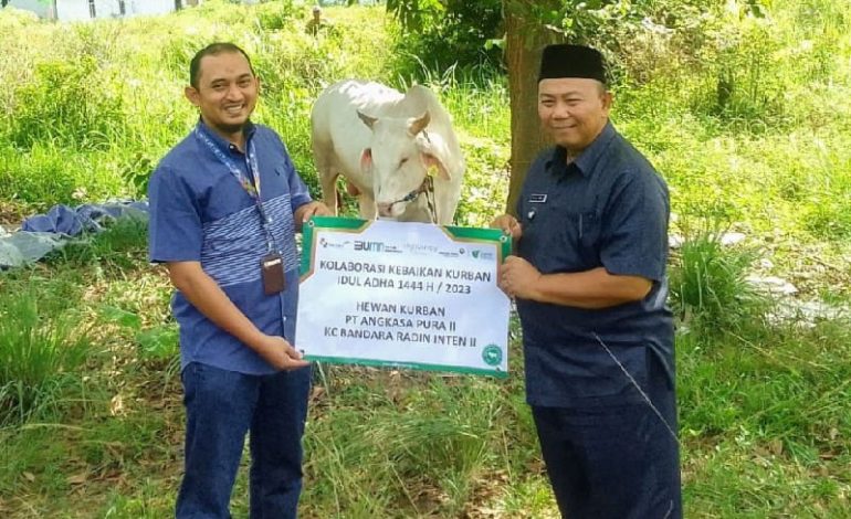  PT Angkasa Pura II Bandara Radin Inten II Lampung-Dompet Dhuafa Lampung Salurkan Hewan Kurban di Branti