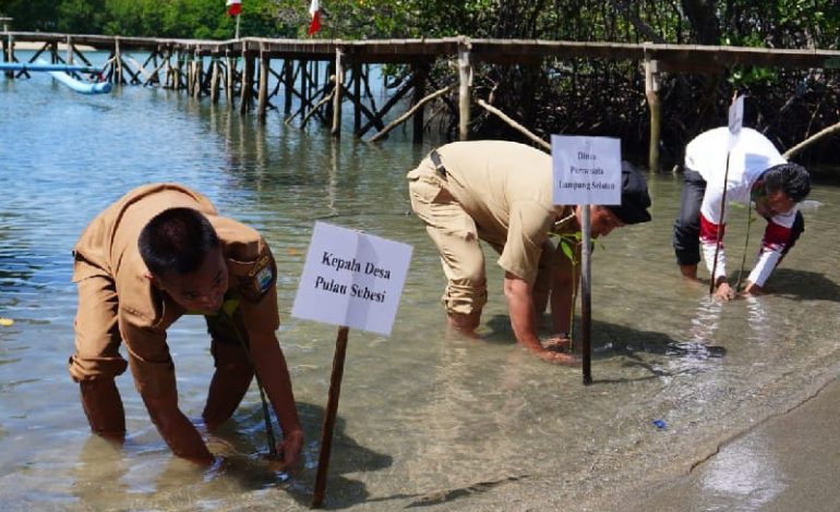  PLN Nusantara Power dan Mitra Bentala Resmikan Konservasi Mangrove Pulau Sebesi