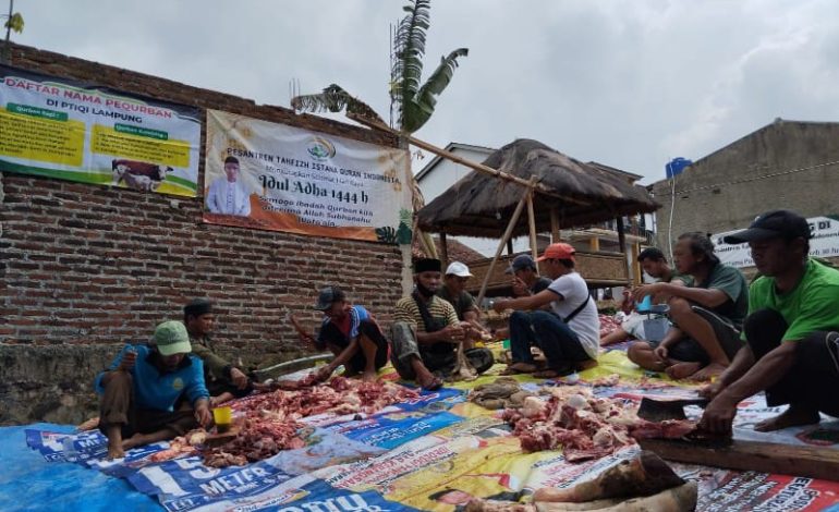  Pesantren Tahfidz Istana Quran Indonesia Lampung Kurban, 200 Orang Terima Daging