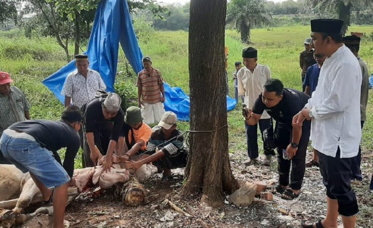 PT Angkasa Pura II Bandara Radin Inten II-Dompet Dhuafa Lampung Salurkan Hewan Kurban di Branti