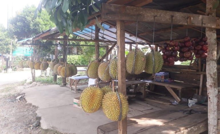  Imam Jual Durian Mentega dan Tembaga Dekat Lengkung Langit II, Rasanya Boleh Dicoba
