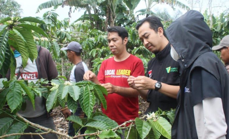  Dompet Dhuafa Lampung Tahap Penilaian Pemberdayaan Petani Kopi Gunung Betung Pesawaran