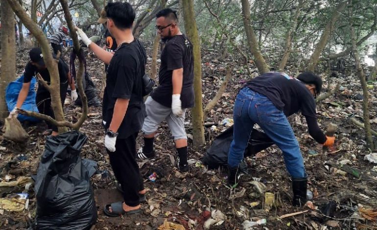  Bersih-Bersih Pulau Pasaran, Dimulai Sejak 4 Hari Lalu Kerahkan 3 Armada Kebersihan