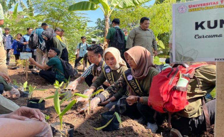  Universitas Teknokrat Indonesia Jadikan Techno Park Gedongmeneng Laboratorium Hijau