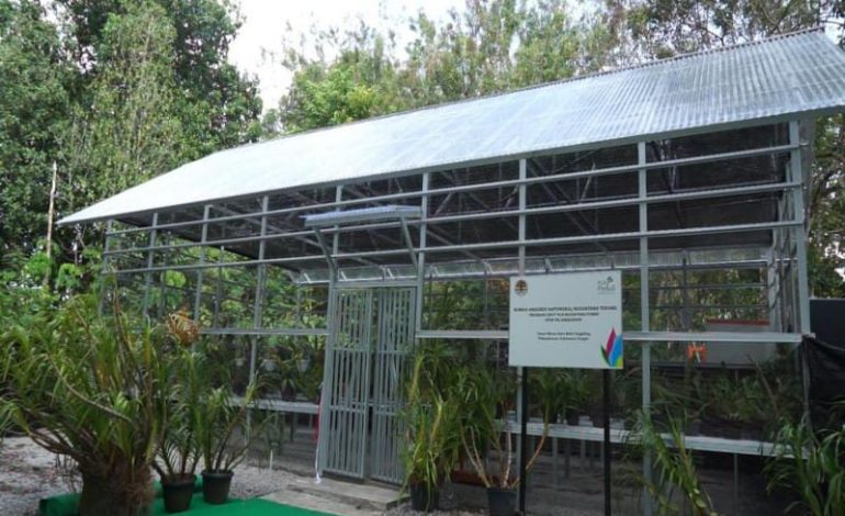  Dukung Pelestarian Anggrek Kalimantan, PLN NP Hadirkan Rumah Anggrek di Palangkaraya