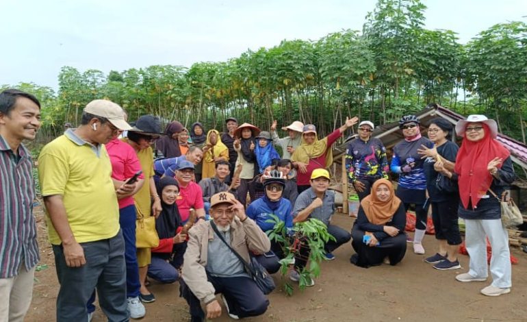  Pengurus Kagama Lampung Tanam 6 Varian Singkong di Liman Benawi Trimurjo Lamteng