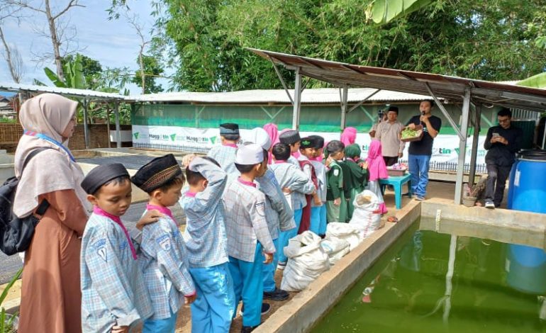  Wisata Edukasi, Siswa Rasyid Sedayu Kunjungi Kandang Maggotin Dompet Dhuafa Lampung
