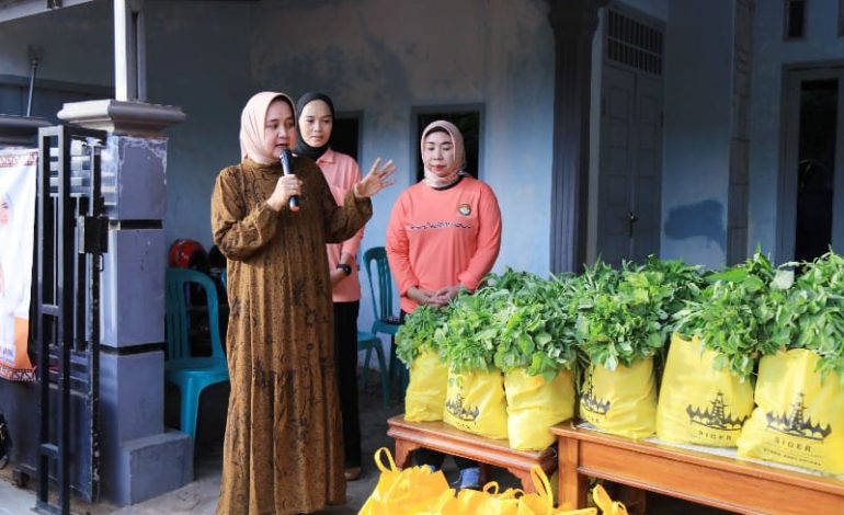  Riana Sari Salurkan Sembako Program Siger kepada Masyarakat Telukbetung Utara