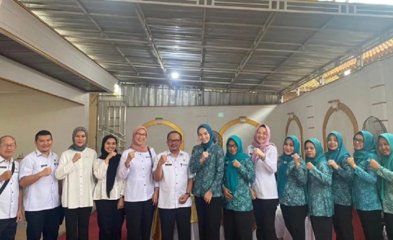  Dinas Pemberdayaan Perempuan-Perlindungan Anak Lampung Rembuk Desa-Relatihan Relawan