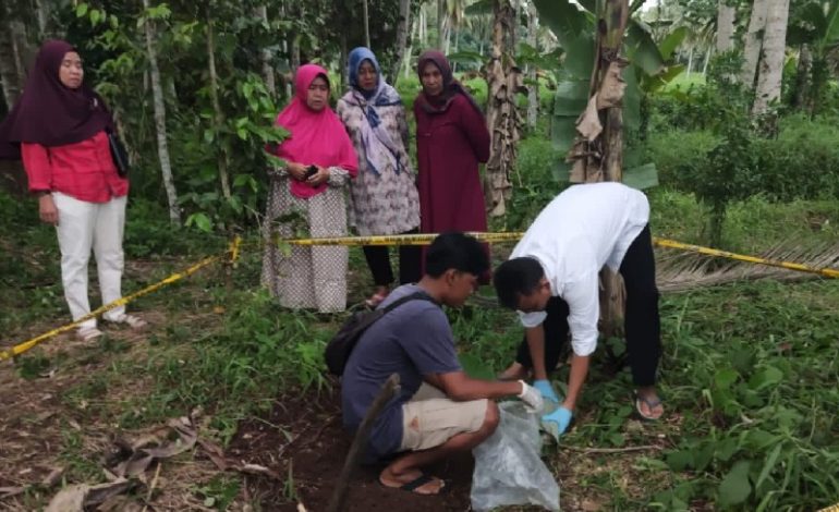 Mayat Bayi Perempuan Ditemukan di Pekon Karta Kotaagung Timur