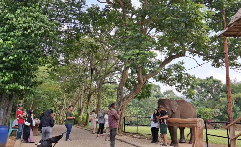  Lembah Hijau Ramai Akhir Pekan Libur Sekolah, Pengunjung Dilarang Beri Makan Satwa