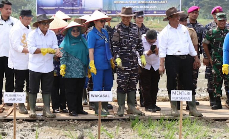 Pj Gubernur Lampung Samsudin Dampingi Menteri Pertanian Gebyar Panen Raya Padi dan Jagung
