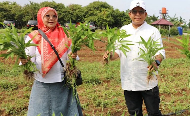  Pj. Gubernur Lampung Samsudin Ajak Masyarakat Ramaikan Agropark Sabah Balau