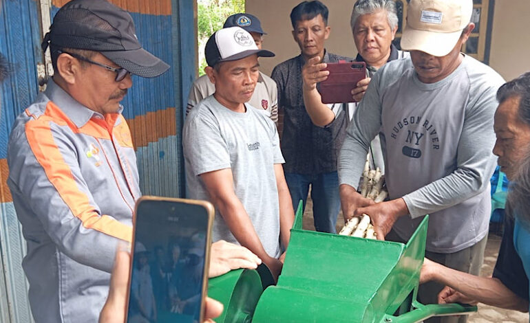 Dosen Unila Introduksi Pupuk Kalium Organik di Kebun Kentang Lampung Barat
