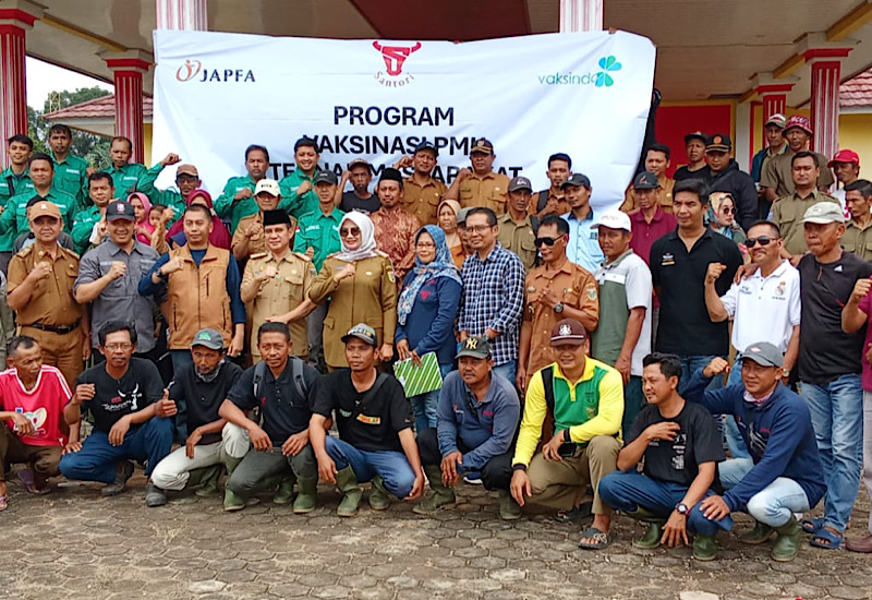  Cegah Penyakit Mulut dan Kuku, Santori Vaksinasi Ribuan Sapi dan Kambing di Lampung Tengah