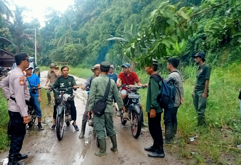  Tim Gabungan Giring Kawanan Gajah Kelompok Bunga Keluar dari Semaka Tanggamus