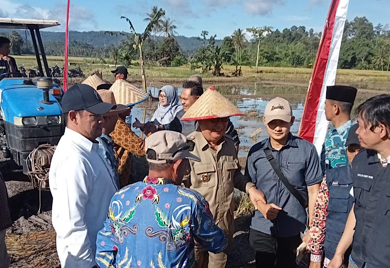  Bupati dan Kapolres Tanggamus Hadiri Panen Raya Padi di Kecamatan Bulok