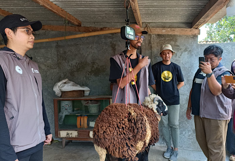  Sambut Idulkurban, Peternak Domba Kambing Mitra Dompet Dhuafa Raup Untung Optimal