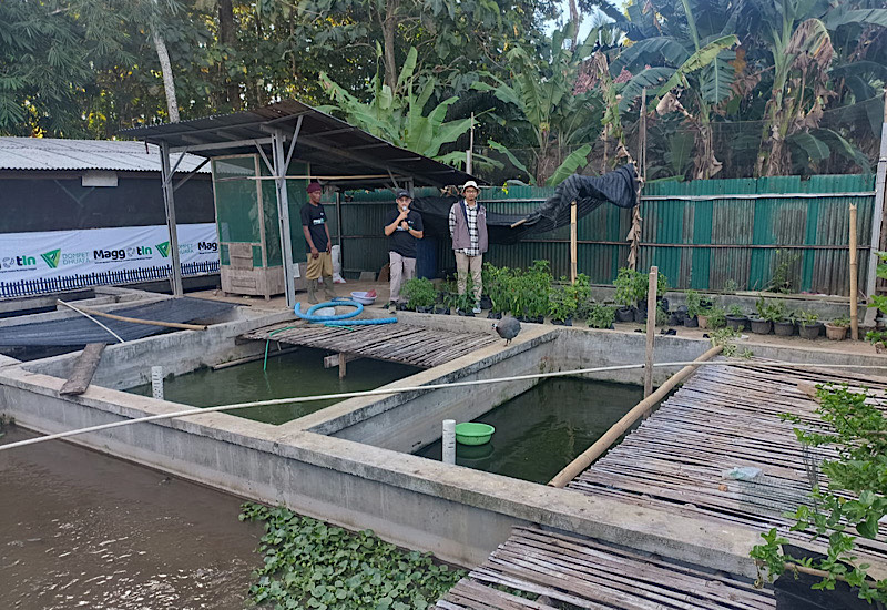  Lewat Maggotin, Dompet Dhuafa Lampung Ubah Sampah Organik Jadi Bisnis Menjanjikan