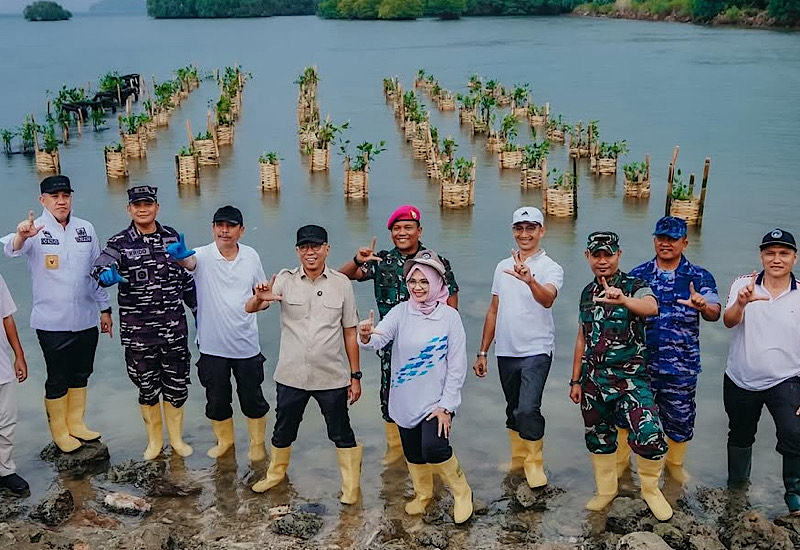  Gubernur Mirza Pimpin Penanaman 2.000 Batang Bibit Mangrove di Teluk Pandan Pesawaran