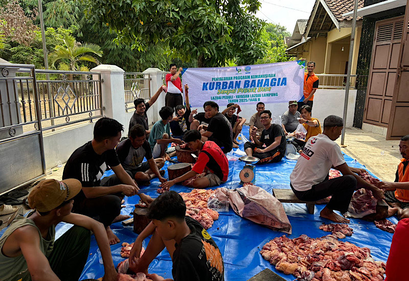  LAZDAI Peduli Salurkan 8 Sapi Kurban ke Tiga Kabupaten