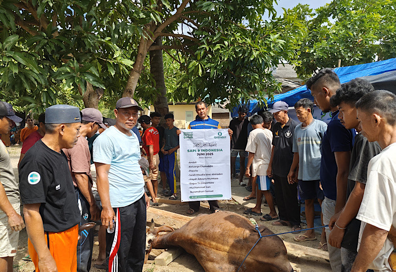  Qudwah Indonesia Gandeng LAZDAI Hadirkan Kebahagiaan Kurban di Ujung Kiluan