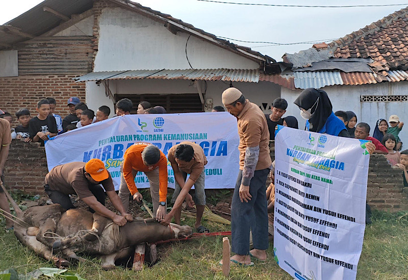  480 Paket Kurban Dibagikan, Ketua Yayasan LAZDAI Turut Sembelih Sapi di Masjid Nurul Iman