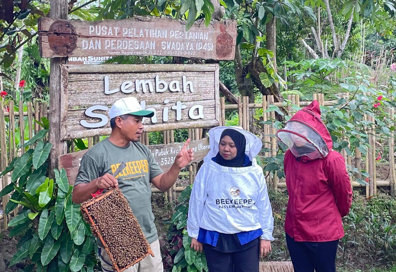  Lembah Suhita Wisata Edukasi Lebah Pertama di Lampung Berdiri di Lahan Bekas Tambang Batu